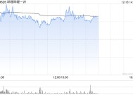 哔哩哔哩-W12月17日斥资50.86万美元回购2.56万股