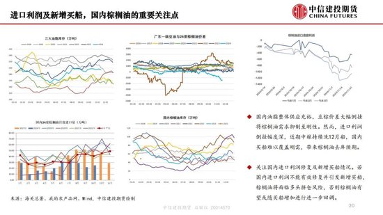 【月度策略】生物燃料前景担忧施压油脂，关注印尼棕榈油卖货情况