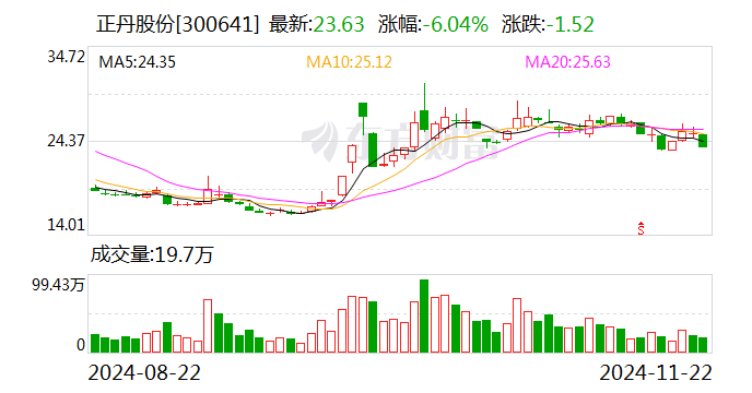 正丹股份：终止2024年度向特定对象发行股票事项