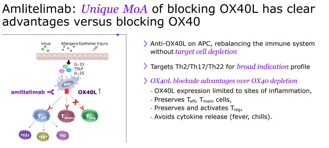 创响生物与Ikena Oncology合并，融资7500万美元 ，OX40 单克隆抗体能否撑起未来？