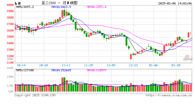 卓创资讯：多空交织 2025年春节期间国际大豆期价震荡上涨